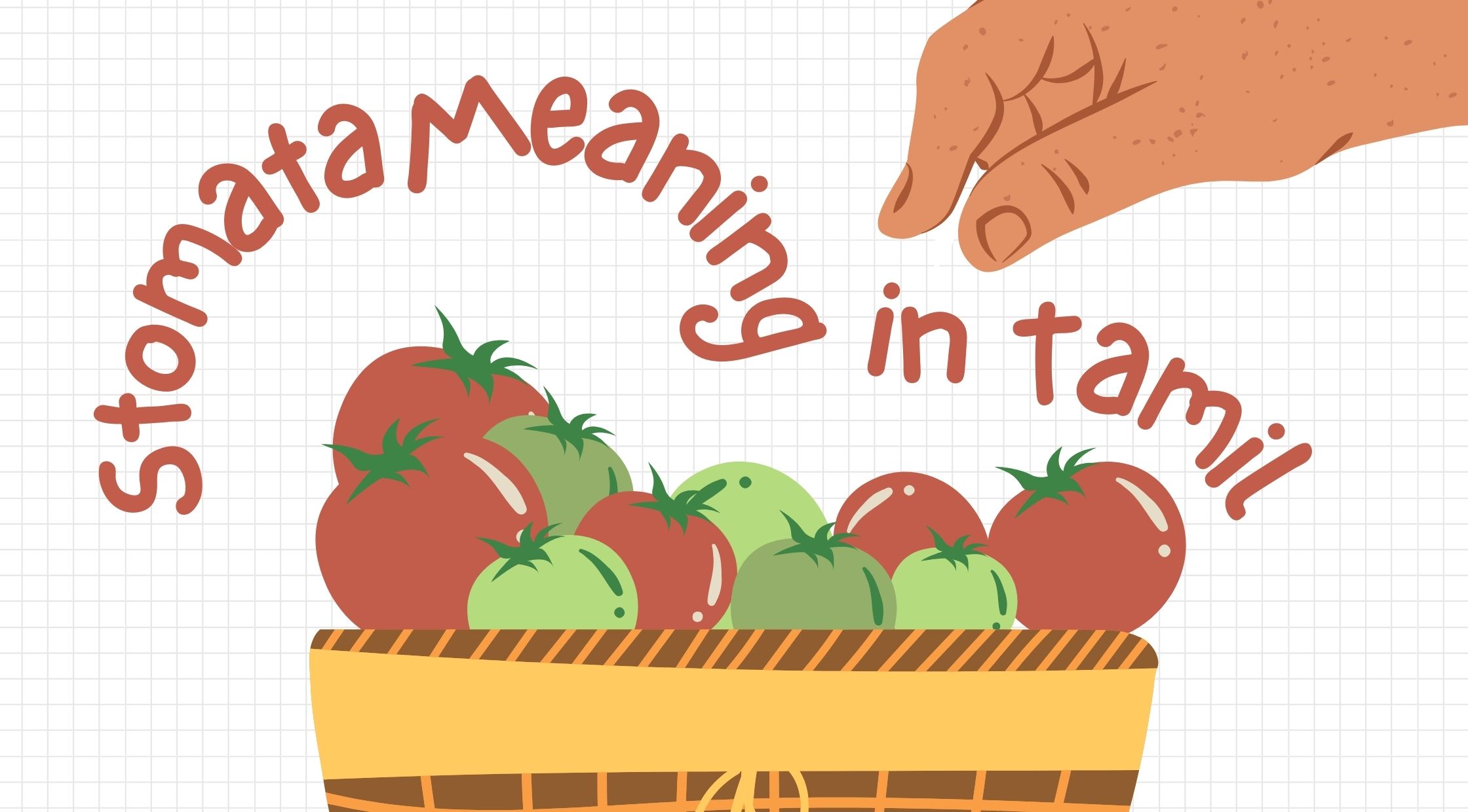Stomata Meaning in Tamil